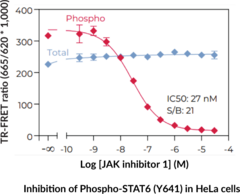 THUNDER™ High Performance Total STAT6 TR-FRET Cell Signaling Assay Kit
