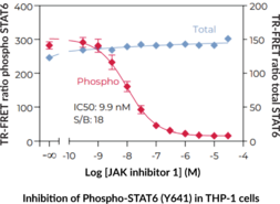 THUNDER™ High Performance Total STAT6 TR-FRET Cell Signaling Assay Kit