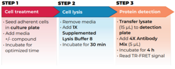 THUNDER™ High Performance Total STAT6 TR-FRET Cell Signaling Assay Kit