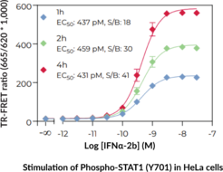 THUNDER™ High Performance Phospho-STAT1 (Y701) TR-FRET Cell Signaling Assay Kit (Signal Transducer and Activator of Transcription 1)