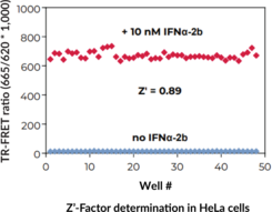 THUNDER™ High Performance Phospho-STAT1 (Y701) TR-FRET Cell Signaling Assay Kit