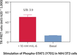 THUNDER™ High Performance Phospho-STAT1 (Y701) TR-FRET Cell Signaling Assay Kit