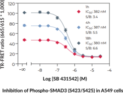 THUNDER™ Phospho-SMAD3 (S423/S425) TR-FRET Cell Signaling Assay Kit