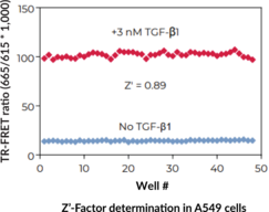 THUNDER™ Phospho-SMAD3 (S423/S425) TR-FRET Cell Signaling Assay Kit