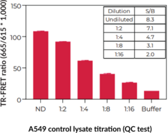 THUNDER™ Phospho-SMAD3 (S423/S425) TR-FRET Cell Signaling Assay Kit