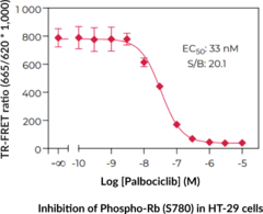 THUNDER™ Phospho-Rb (S780) TR-FRET Cell Signaling Assay Kit