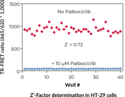 THUNDER™ Phospho-Rb (S780) TR-FRET Cell Signaling Assay Kit