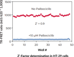 THUNDER™ Phospho-Rb (S807/S811) TR-FRET Cell Signaling Assay Kit