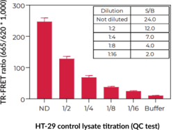 THUNDER™ Phospho-Rb (S807/S811) TR-FRET Cell Signaling Assay Kit