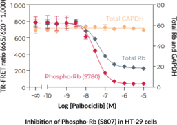 THUNDER™ Total Rb TR-FRET Cell Signaling Assay Kit