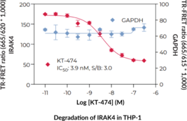 THUNDER™ Total IRAK4 TR-FRET Cell Signaling Assay Kit (Interleukin-1 Receptor-Associated Kinase 4, IPD1, REN64)