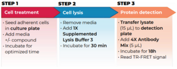 THUNDER™ Total IRAK4 TR-FRET Cell Signaling Assay Kit
