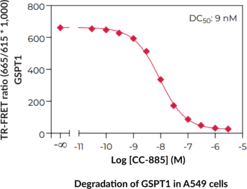 THUNDER™ Total GSPT1 TR-FRET Cell Signaling Assay Kit
