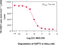 THUNDER™ Total GSPT1 TR-FRET Cell Signaling Assay Kit