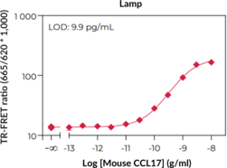 THUNDER™ Mouse CCL17/TARC TR-FRET Biomarker Assay Kit (CC Chemokine TARC, C-C Motif Chemokine 17)