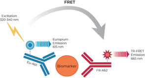 THUNDER™ Human Granzyme B TR-FRET Biomarker Assay Kit