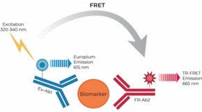 THUNDER™ Human Calprotectin (S100A8/S100A9) TR-FRET Biomarker Assay Kit