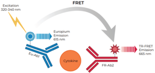 THUNDER™ Human CXCL1/GROα TR-FRET Biomarker Assay Kit