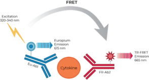 THUNDER™ Human CXCL9/MIG TR-FRET Biomarker Assay Kit