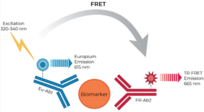 THUNDER™ Human IL-4 TR-FRET Biomarker Assay Kit