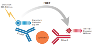 THUNDER™ Human IFNα TR-FRET Biomarker Assay Kit
