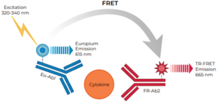 THUNDER™ Human IFNβ TR-FRET Biomarker Assay Kit