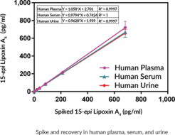 15-epi Lipoxin A4 ELISA Kit