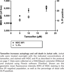 Autophagy/Cytotoxicity Dual Staining Kit