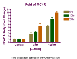Melanocortin-4 Receptor Reporter Assay Kit
