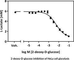 Glycolysis Cell-Based Assay Kit