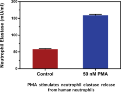 Neutrophil Elastase Activity Assay Kit