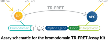 CBP bromodomain TR-FRET Assay Kit