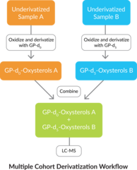 Oxysterol Derivatization MaxSpec® Kit