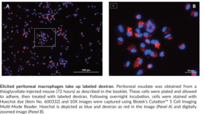 Macrophage (mouse) Elicitation Kit