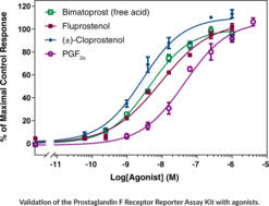 Prostaglandin F Receptor Reporter Assay Kit