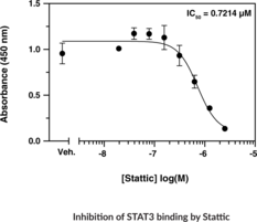 STAT3 Transcription Factor Assay Kit