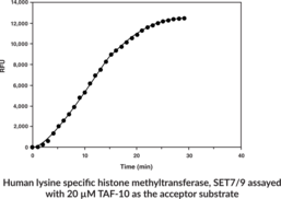 Methyltransferase Fluorometric Assay Kit