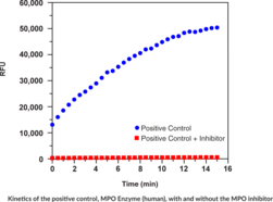 Myeloperoxidase Peroxidation Fluorometric Assay Kit