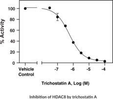 HDAC8 Inhibitor Screening Assay Kit