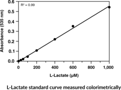 L-Lactate Assay Kit
