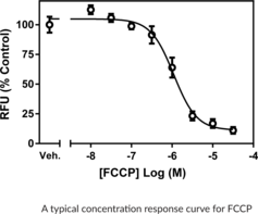 TMRE Mitochondrial Membrane Potential Assay Kit (Tetramethylrhodamine ethyl ester)