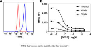 TMRE Mitochondrial Membrane Potential Assay Kit