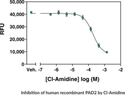 PAD2 Inhibitor Screening Assay Kit (Ammonia) (PADI2, PAD-H19, Peptidylarginine Deiminase 2, Protein Arginine Deiminase 2)