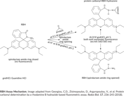 Protein Carbonyl Fluorometric Assay Kit
