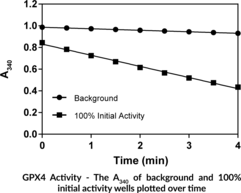 GPX4 Inhibitor Screening Assay Kit (Glutathione Peroxidase 4, PhGPx,  Phospholipid Hydroperoxide Glutathione Peroxidase)