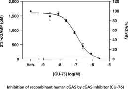 cGAS Inhibitor Screening Assay Kit