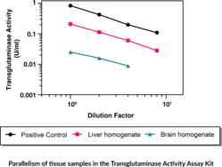 Transglutaminase Activity Assay Kit