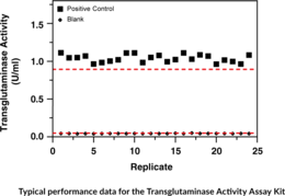 Transglutaminase Activity Assay Kit