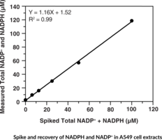 NADPH/NADP Ratio Assay Kit