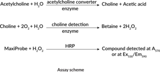 Acetylcholine/Choline Fluorometric/Colorimetric Assay Kit